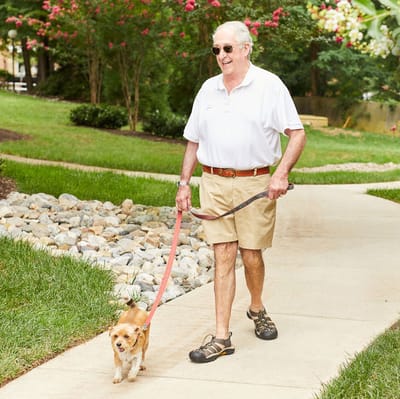 Resident walking a dog in a green outdoor space