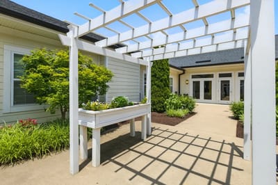 Outdoor garden area with white pergola and greenery