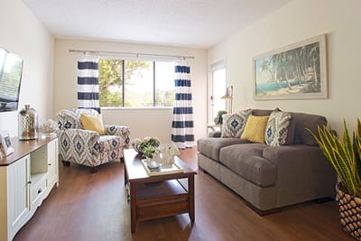 Comfortable living room with natural light and decor