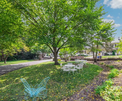 Outdoor seating area under a large tree