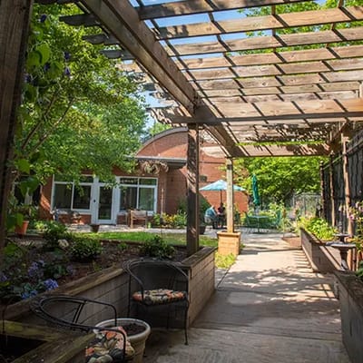 Pathway through a beautiful outdoor space with greenery