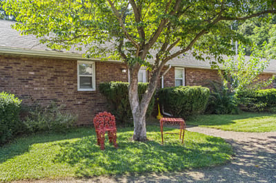 Outdoor space with a tree and decorative chairs