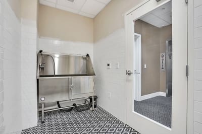 Large stainless steel utility sink in a facility interior