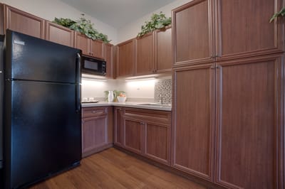Modern kitchenette in a resident apartment