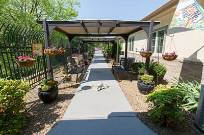 Pathway lined with vibrant flowers and seating areas
