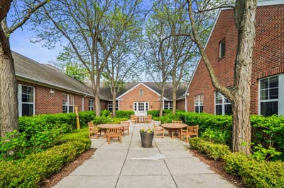 Outdoor seating area surrounded by greenery