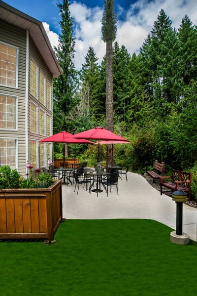 Outdoor patio with tables and umbrellas surrounded by greenery