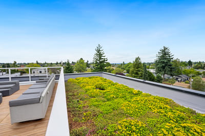 Green rooftop garden with seating area