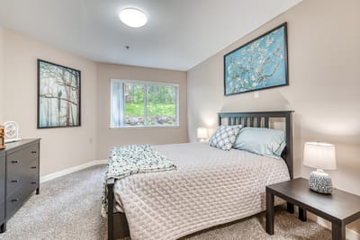 Cozy resident room with decor and natural light