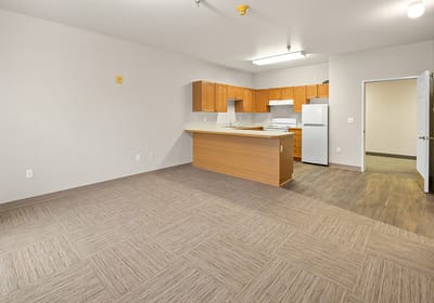 Interior view of a kitchen and living area