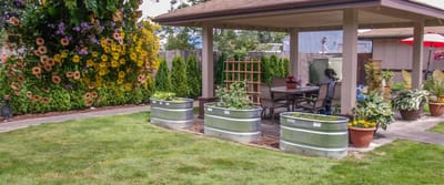 Residents enjoying the outdoor garden area