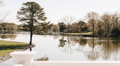 Scenic view of a tranquil lake surrounded by trees