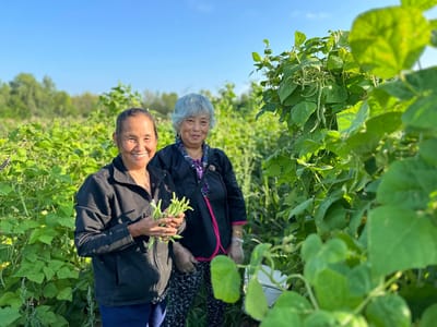 Residents enjoying time in a garden