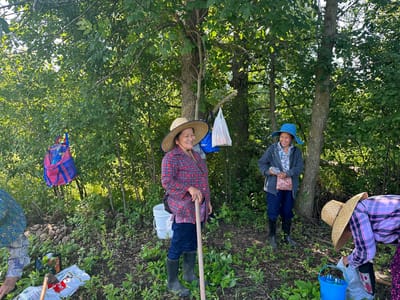 Residents engaging in gardening outdoors