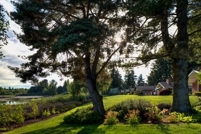 Beautiful outdoor space with trees and landscaping