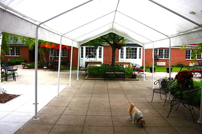 A covered outdoor space with seating and a dog