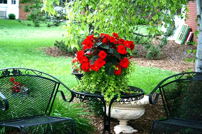 Floral arrangements in an outdoor seating area