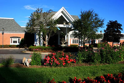 Exterior view of a senior living facility with landscaping and a dog