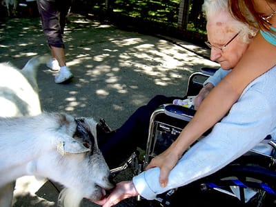 Resident interacting with a goat in an outdoor setting