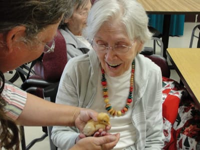 Resident joyfully holds a chick with staff member