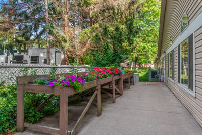 Outdoor flower beds alongside a facility