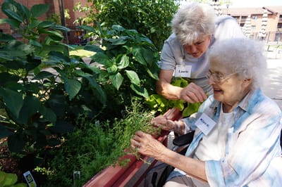Resident and staff member tending to a garden