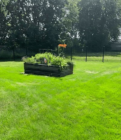 A garden area featuring greenery and flowers