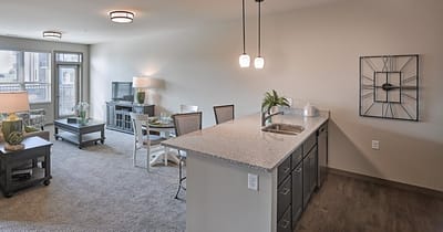 Bright and cozy living room and kitchen area