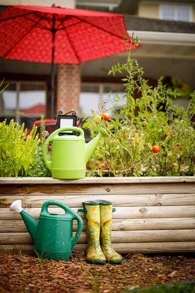 Gardening tools and flowers in a beautiful outdoor garden