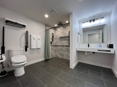 Modern assisted living bathroom with grab bars
