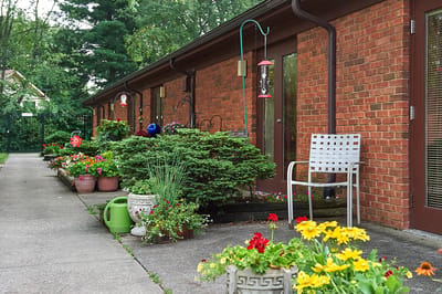 Pathway lined with colorful flowers and greenery