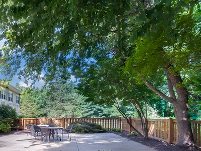 Outdoor space with seating and trees