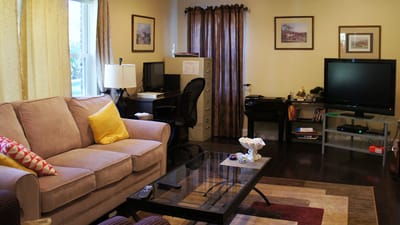 A cozy living room with a couch and decorations