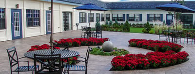Outdoor patio area with flowers and seating