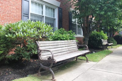 Benches in a landscaped outdoor area
