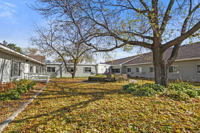 Outdoor area with benches surrounded by autumn leaves