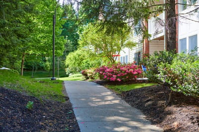 Pathway through well-kept gardens at Lasell House