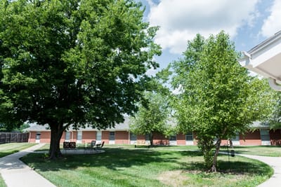 Outdoor space with trees and pathways in a senior living facility