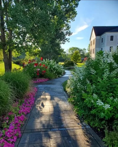 Pathway surrounded by vibrant flowers in a garden