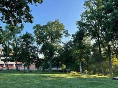 Outdoor space with trees and part of the building visible