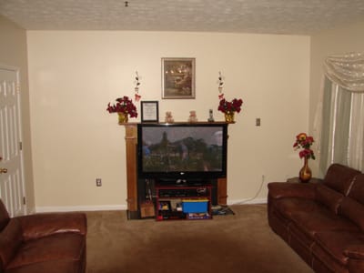 Living room with a television and sofas