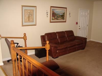 Interior living room with brown sofas and artwork.
