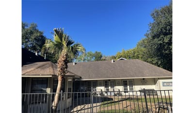 Building exterior with palm tree and clear sky