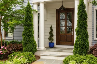 Entrance with decorative plants and a wooden door