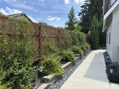 Lush garden area alongside a walking path