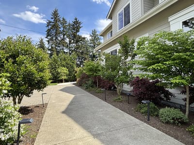 Pathway lined with greenery around the facility