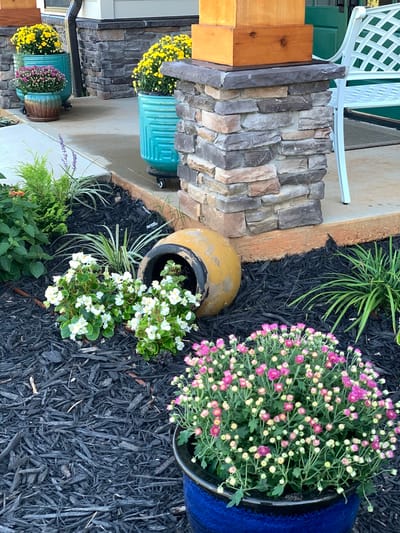 Colorful flower pots in an outdoor space