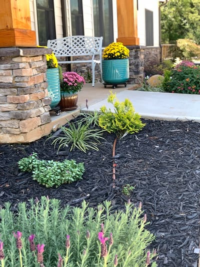 Flowers and seating outside a nursing home