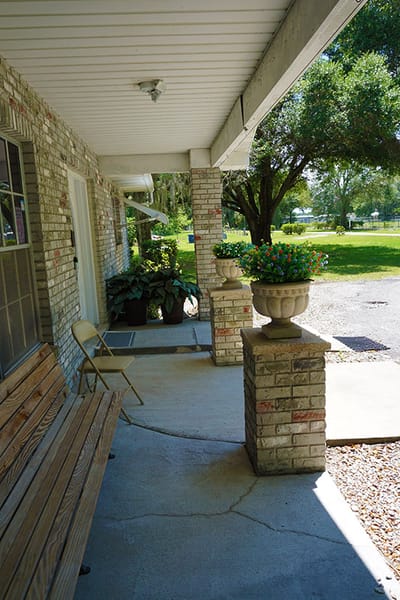 Outdoor seating area with plants and greenery