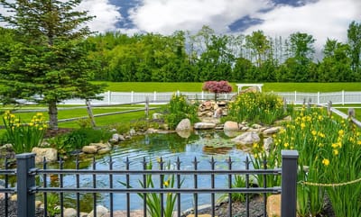 A tranquil garden pond surrounded by greenery and flowers